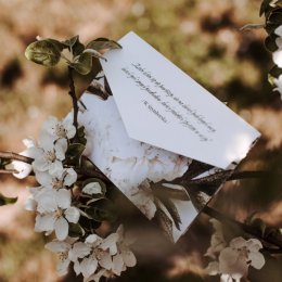 Marcelina-Pracownia - Zaproszenia ślubne