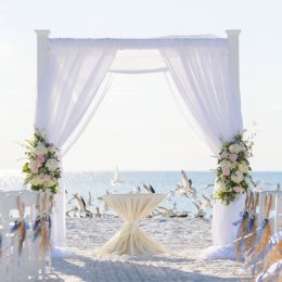 Magical Celebrations - Wedding planner