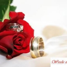 Organizacja ślubów i wesel Sensar - Wedding planner