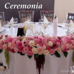 Ceremonia - Wedding planner