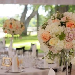 Ślubny Impresariat - Wedding planner