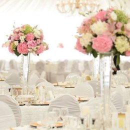 Bluebird - organizacja wesel  - Wedding planner