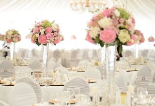 Bluebird - organizacja wesel 