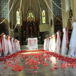 Organizator ślubów, wesel, bali, imprez. - Wedding planner