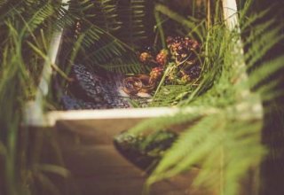 Tkalnia Eventowych Pomysłów - wesele w górach