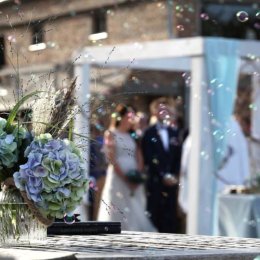 Wedding Sense- konsultant ze ślubnym zmysłem - Wedding planner