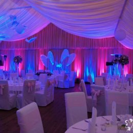 Event Bonsai -  Dekoracje światłem,  - Dekoracje świetlne