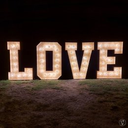 Napis LOVE - Full Control - Dekoracje świetlne