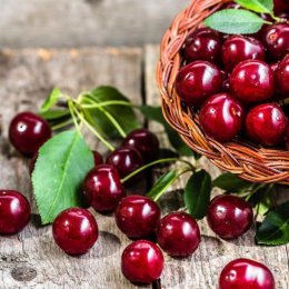 ET dekoracje -najwspanialszy dzień - Dekoracje świetlne