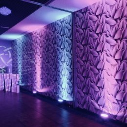 Bajeczna Dekoracja Światłem - Dekoracje świetlne