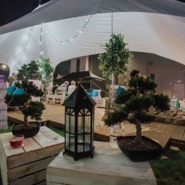 Eleganckie namioty w kształcie gwiazdy różne rozmiary! Nawet do 100 os - Wynajem namiotów