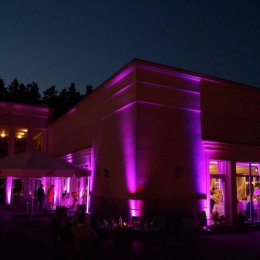 Dekoracje Oswietleniem   NAJLEPSZA OFERTA NA RYNKU !!! - Dekoracje świetlne