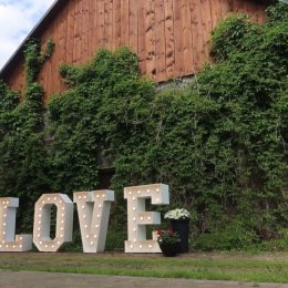 Napis Love na wesela i sesje fotograficzne! - Dekoracje świetlne