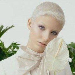 D&D Davi Studio - Fryzjer ślubny