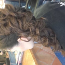 Salon Fryzjerski M&M - Fryzjer ślubny