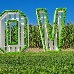 Napis LOVE - MECH CHROBOTEK- MECH I KORA. WYNAJEM - Dekoracje świetlne