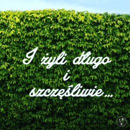 Ledon, napis led XXL! - Dekoracje świetlne