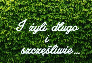 Ledon, napis led XXL!