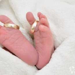 organizacja slubu,wesela,imprez okolicznosciowych - Wedding planner