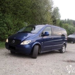 przewóz gości weselnych 7pasażerów + kierowca - Wynajem busów