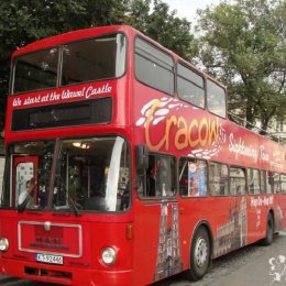 Cracowsightseeing Przewóz gości weselnych  - Wynajem busów
