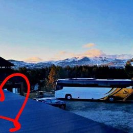 Autokarem Regiobus na wesele. - Wynajem busów