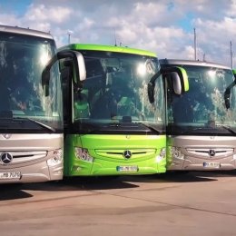 Orłowscy. Autokary Busy Vip - Transport Business Class - Wynajem busów