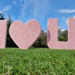 KB Decor - napis / serce z kwiatów - Dekoracje sali