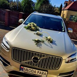 Wynajmij Luksusowe i Wygodne Auto na Swój Ślub! - Auto do ślubu