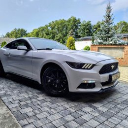 Mustang - Auto do ślubu