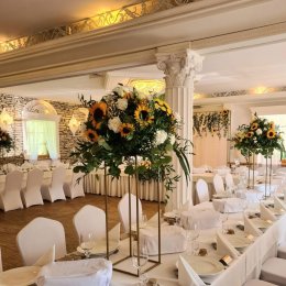 Magiczne Dekoracje Viola Maj - Dekoracje sali