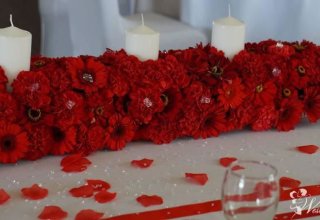 Monia Dekoracje Monika Zadarko