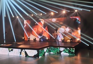 Ekran / ekrany LED na wesele