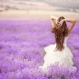 PLENER NA LAWENDOWYM POLU, bukiety, upominki dla gości, dekoracje - Dekoracje sali