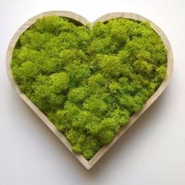 Botanic Unikalne Dekoracje - Dekoracje sali