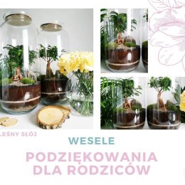 Leśny Słój / Las w Słoiku - Dekoracje sali