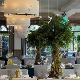 WM Vision Dekoracje - Dekoracje sali