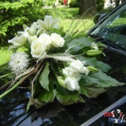 Dekoracje ślubne i weselne - Dekoracje sali