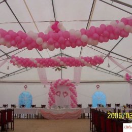 Rajski Ogród.Dekoracje sal, kościołów, samochodów. - Dekoracje sali