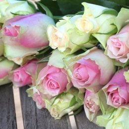 Magic Flora - Dekoracje sali