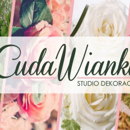 kompleksowa oprawa ślubna | dekoracja sali, kościoła, auta - Dekoracje sali