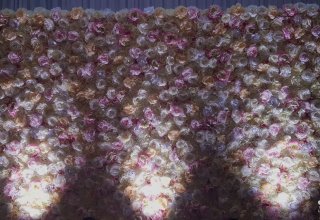 Ścianka tło na wesele, za parę młodą