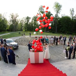 Party Dream Art  - Dekoracje sali