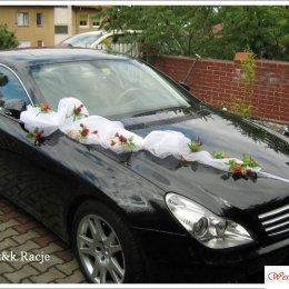 Dekoracje weselne i okolicznosciowe sal,kościołów - Dekoracje sali