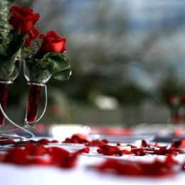 Dekoracje Ślubne i Weselne - Dekoracje sali