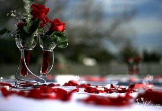 Dekoracje Ślubne i Weselne