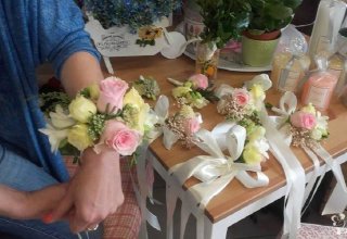 Esy Floresy Dorota Patra