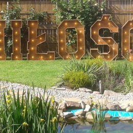 Przepiękne Ozdoby Rustykalne z prawdziwego drewna firmy weddingwood - Dekoracje sali