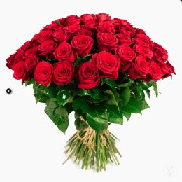 Dekoracje kwiatowe Agaya - Dekoracje sali