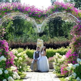 Primafoto Fotografia i Film - Fotograf ślubny